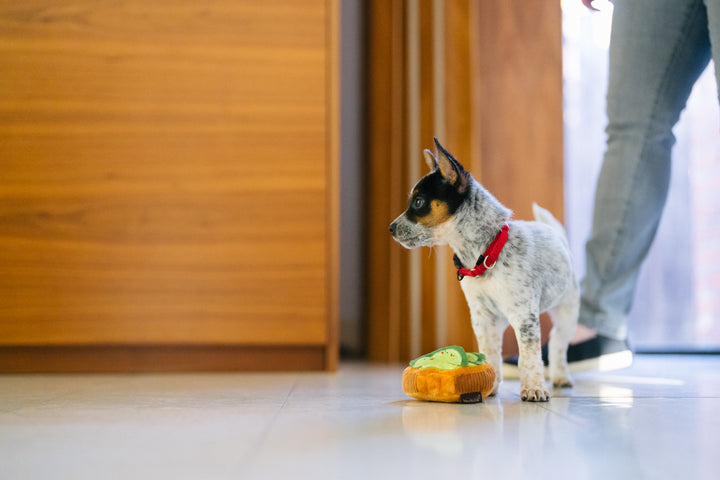 
                  
                    Barking Brunch - Avo-doggo Toast
                  
                