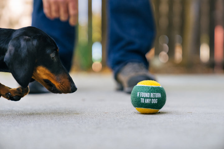 
                  
                    PLAY - S&A Dog Tennis Balls (4 Pack)
                  
                