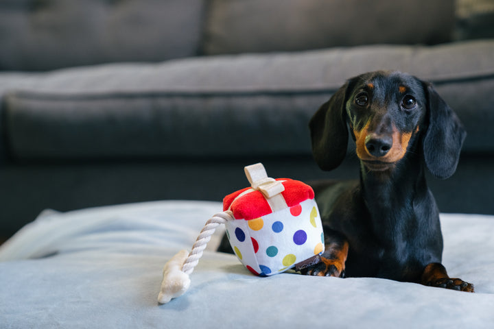 
                  
                    PLAY - Party Time - Pawfect Present
                  
                