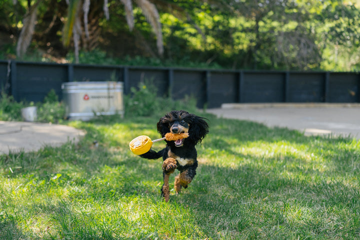 
                  
                    Barking Brunch - Chicken & Woofles
                  
                