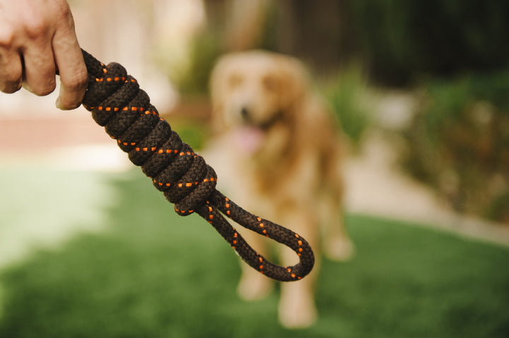 
                  
                    PLAY - Rope Toy - Tug
                  
                