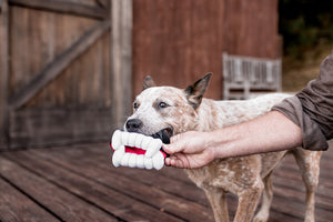 
                  
                    PLAY - Howling Haunts - Barkys Bite
                  
                