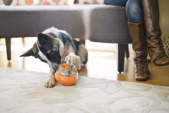 
                  
                    PLAY - Wobble Ball - Orange
                  
                