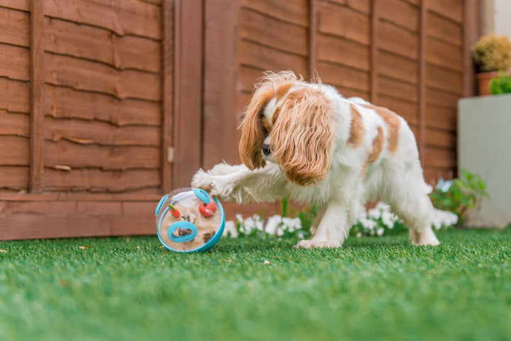 
                  
                    PLAY - Wobble Ball- Blue
                  
                